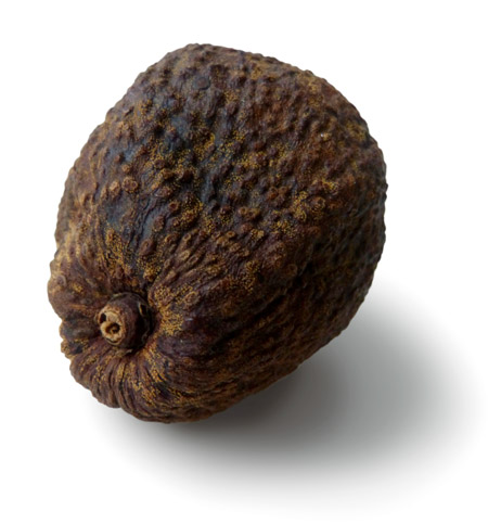 dried avocado