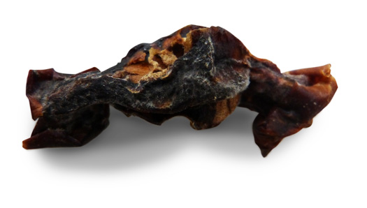 Dark angular dehydrated apple core