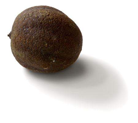 rather dark, round dehyrated lime