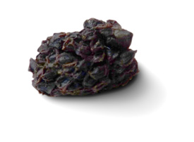 Dehydrated blackberry