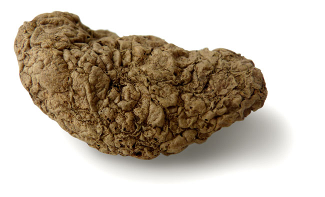 dried crinkled potato specimen