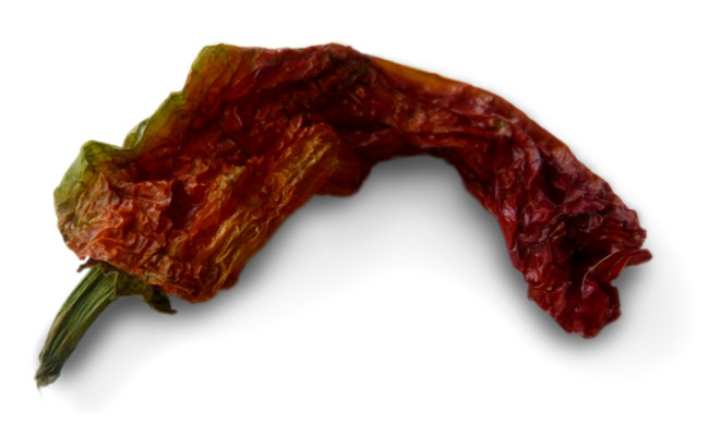 red rumpled curved shishito pepper with green stem